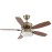 Ventilador Braw DC Cuero 106,7Ø 30w Mando Memoria y temporizador 181891536