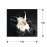 Foto Splash 100X100 719360