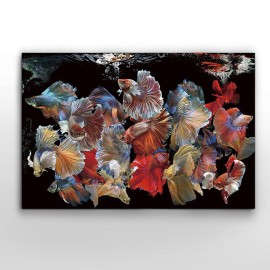 Fotografia Peces Siam 150x100 755016 - Schuller